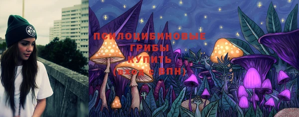 метадон Зеленодольск